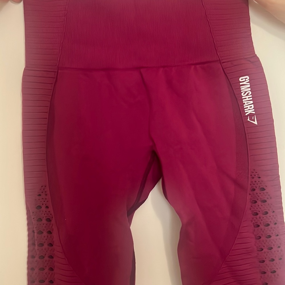 Gym shark Leggings